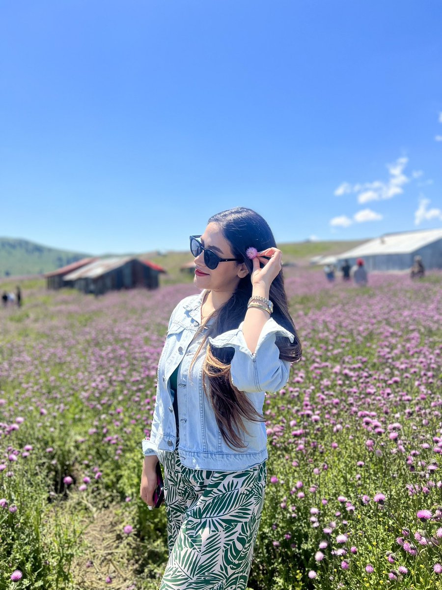 Reyhane tweet media