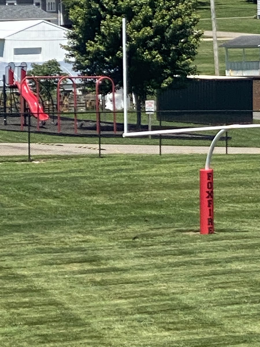 FoxfireFootball's tweet photo. The field at “The Nest” is looking 👀 plush! 🔥 Thank you Mr. Reed for all the time you have put in to get her in this condition! We have also added new customized goal post pads! @FoxfireK12 @FoxfireAth2024 https://t.co/Maz1dUdrLF