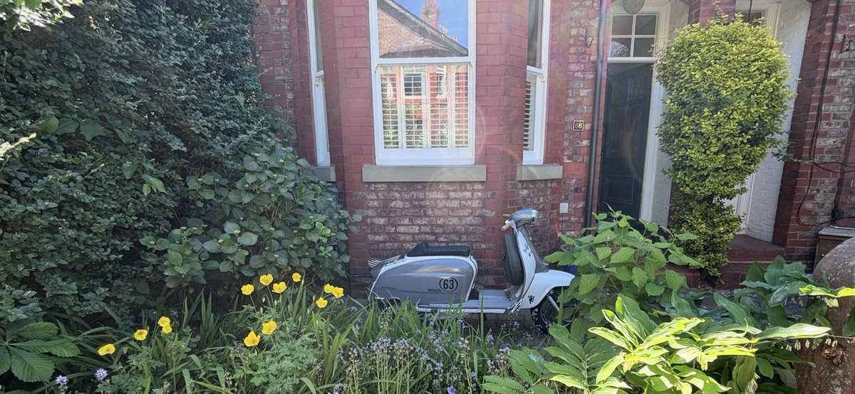 TimMcr's tweet photo. A lovely day deserves a ride out on a lovely scoot 👌😎 https://t.co/fPPaYbpxoc