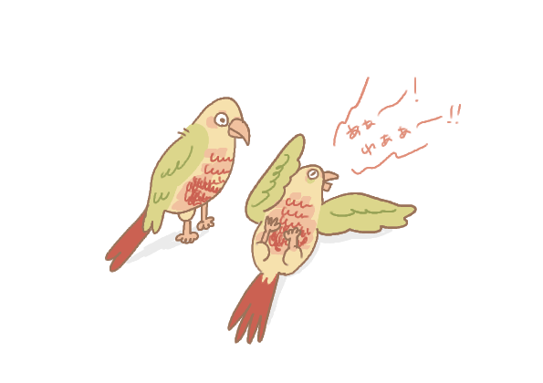 Qbe_iwase's tweet photo. 誘い受け鳥 https://t.co/E9c05J42Zo