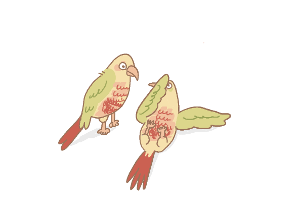 Qbe_iwase's tweet photo. 誘い受け鳥 https://t.co/E9c05J42Zo