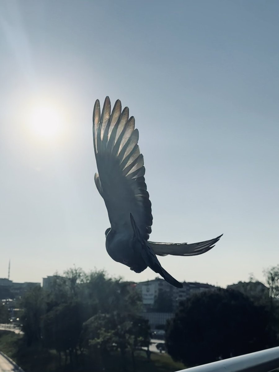 kbedriyen's tweet photo. ‘teşekkür ederim Allah’ım,
tam olarak her şey için.. https://t.co/CjPaTGOfFf