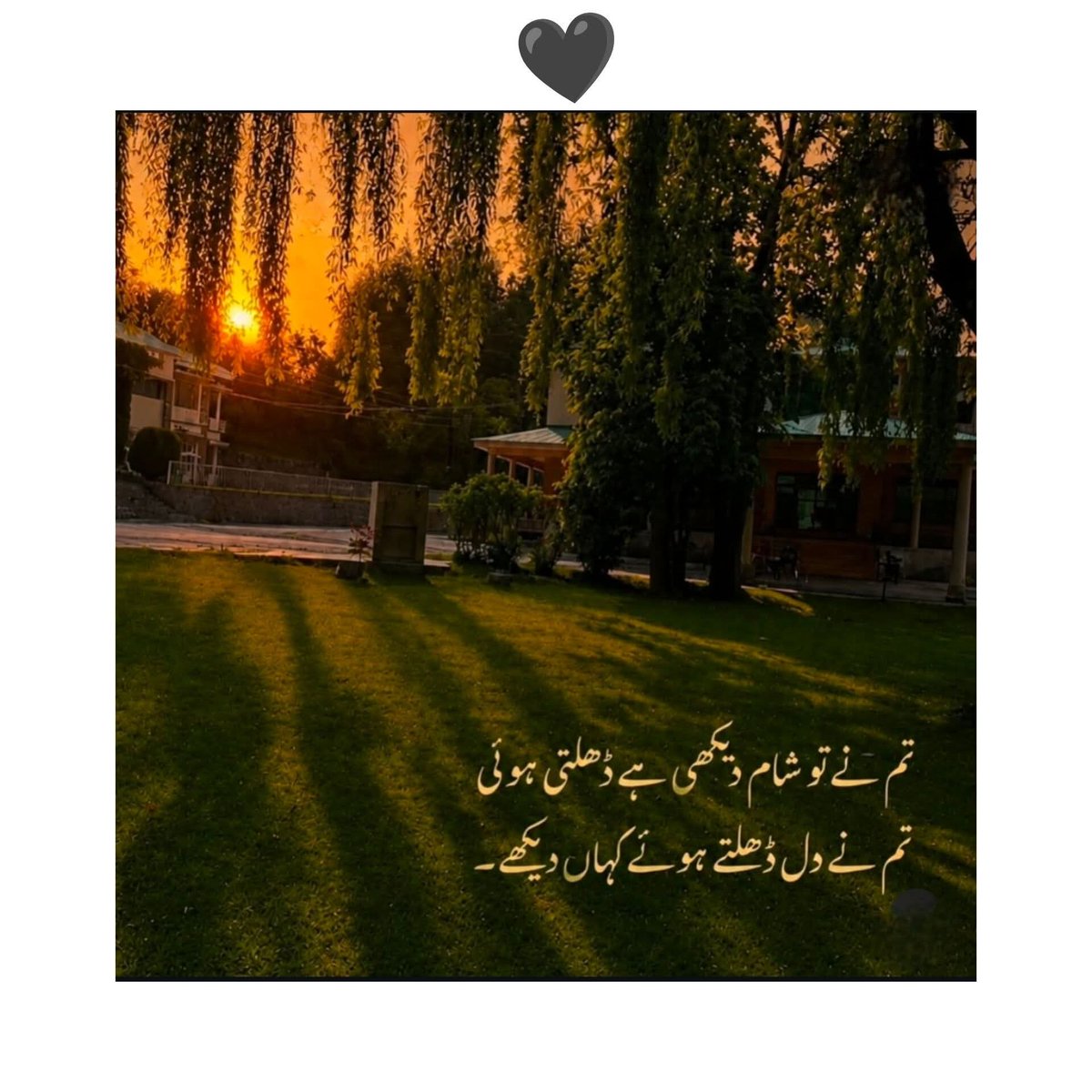MehranAliMani3's tweet photo. نہ کوئی سَمجھ سکا نہ ہم کسی کو سَمجھا پاۓ۔۔۔🙂🖤

#Mehran✍️🍂 https://t.co/Sjq9AW6ZOB