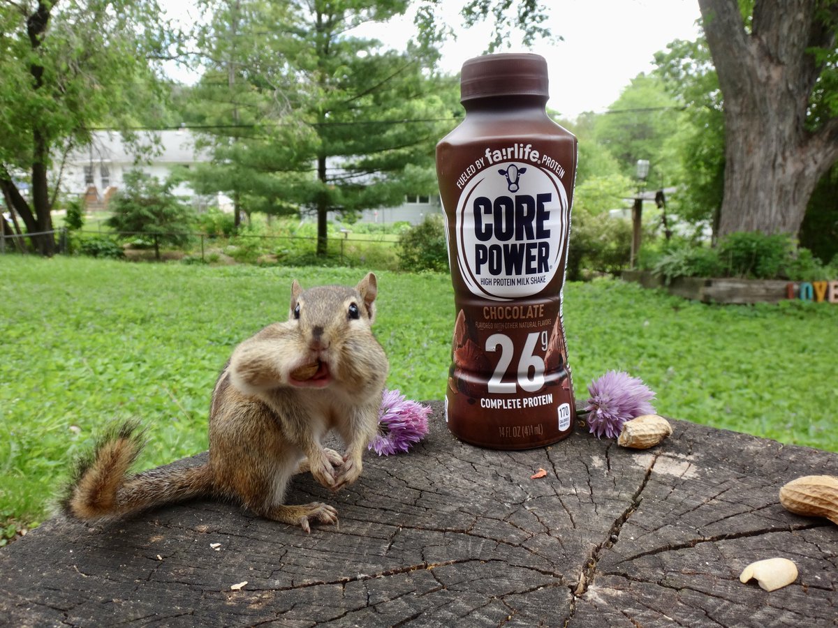 602Shaffer's tweet photo. @fairlife Doin' crunches, liftin' weights, gettin' swole! https://t.co/weNeFzwwSD