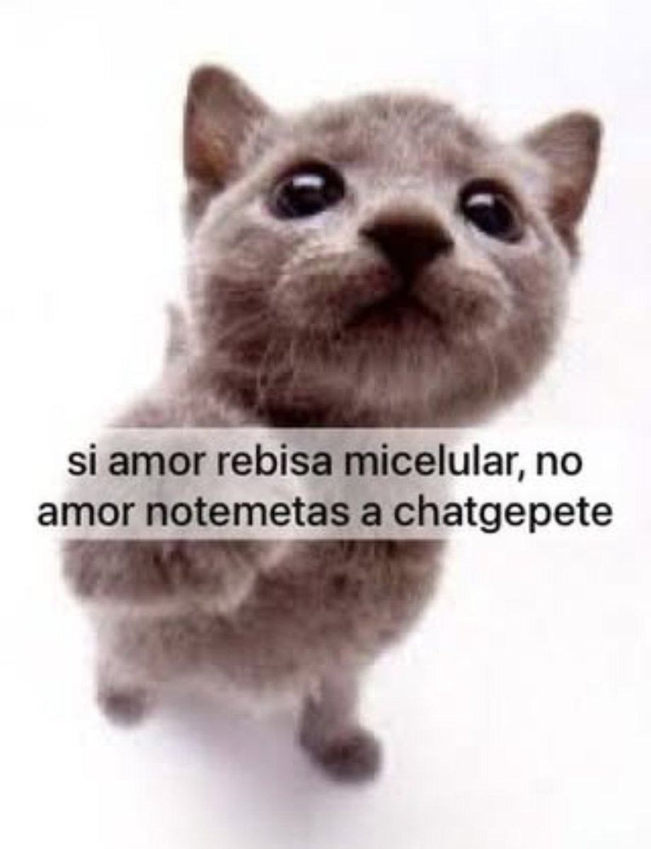ale sobrevivió a tocorón tweet media