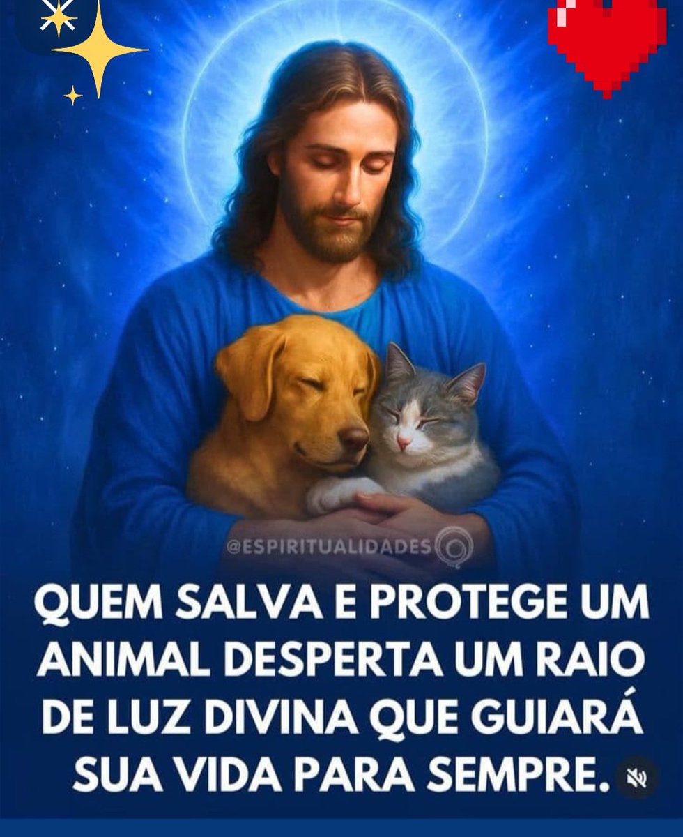 Gerda Belém tweet media