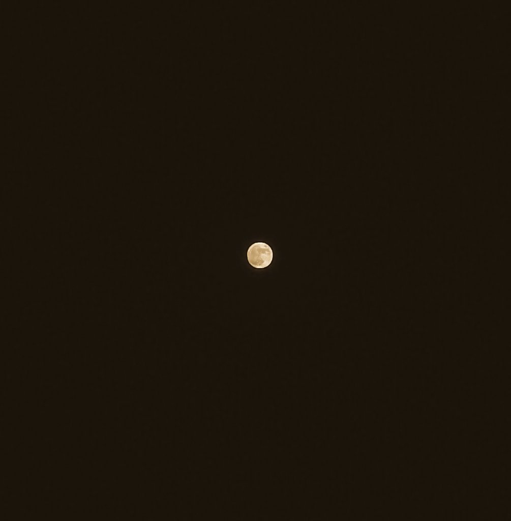 Mustafa_10399's tweet photo. قمر ١٤ 🌕 https://t.co/18ck0sSWWD