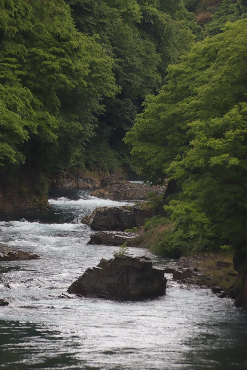atarashiiinaka's tweet photo. 【獅子の牢の滝（ししのろうのたき）】
群馬県吾妻郡東吾妻町三島
Photo／2026.05.24

吾妻渓谷から下流におよそ3km。吾妻川にある岩の景勝地。陣出橋より撮影。

#群馬県　#東吾妻町　#田舎の風景 https://t.co/ymNpvw3jAM
