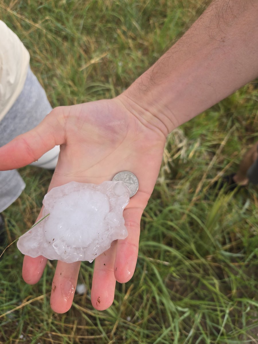 WX_Roo's tweet photo. Wow! I think that's 3.50" hail stone. Looking for bigger balls! #newx @NWSNorthPlatte https://t.co/73MPYs3DXF