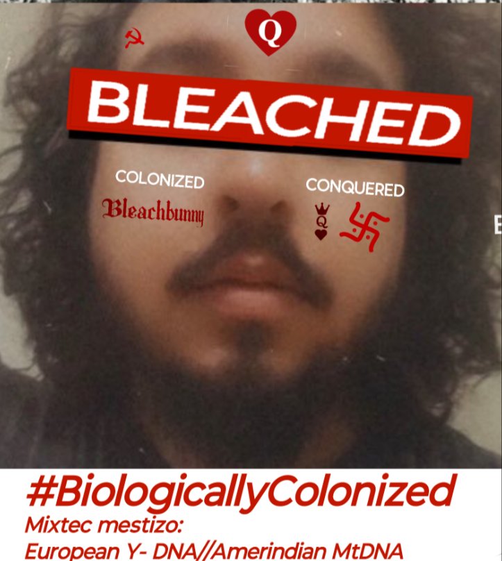 CuckedLibtard's tweet photo. @diddoodleanim6 Brown boys were #Colonized #BiologicallyDefeated #BiologicallyColonized, brutal, they were turned into Bleachbunnies by the BWC mind virus and genocided out of existence. https://t.co/iJFdMu7PpO