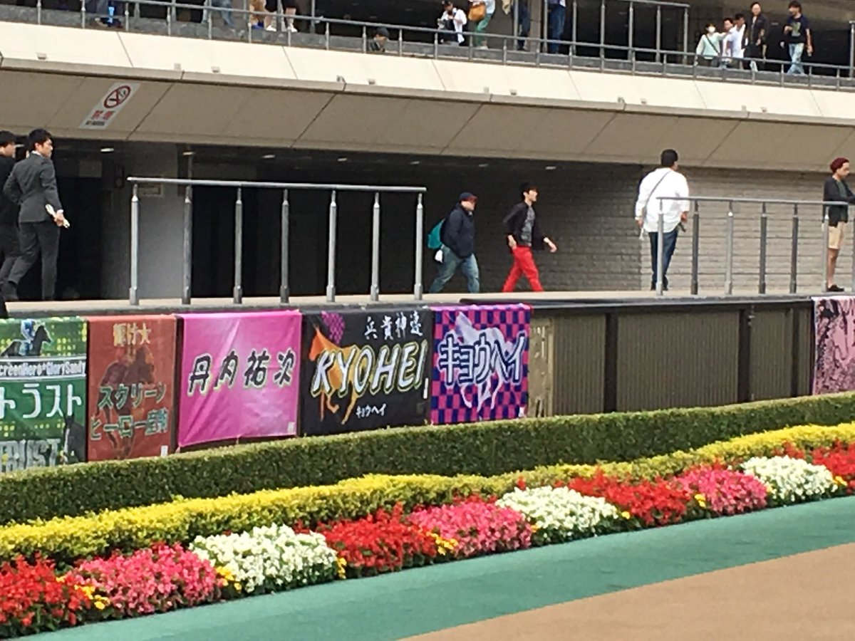hahauma's tweet photo. 今日はダービーday🏇
キョウヘイ🐴と私のダービーday🏇
この年の今この時間は入場待ち行列に並んでる頃かな？
馬にとっても関係者にとってもチーム一丸！一生に一度の晴れ舞台！
今年はどんなドラマが待っているかな？ https://t.co/a8ySrSZdk9