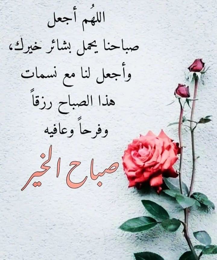 saad_almalki7's tweet photo. https://t.co/eLfB5kFgDn