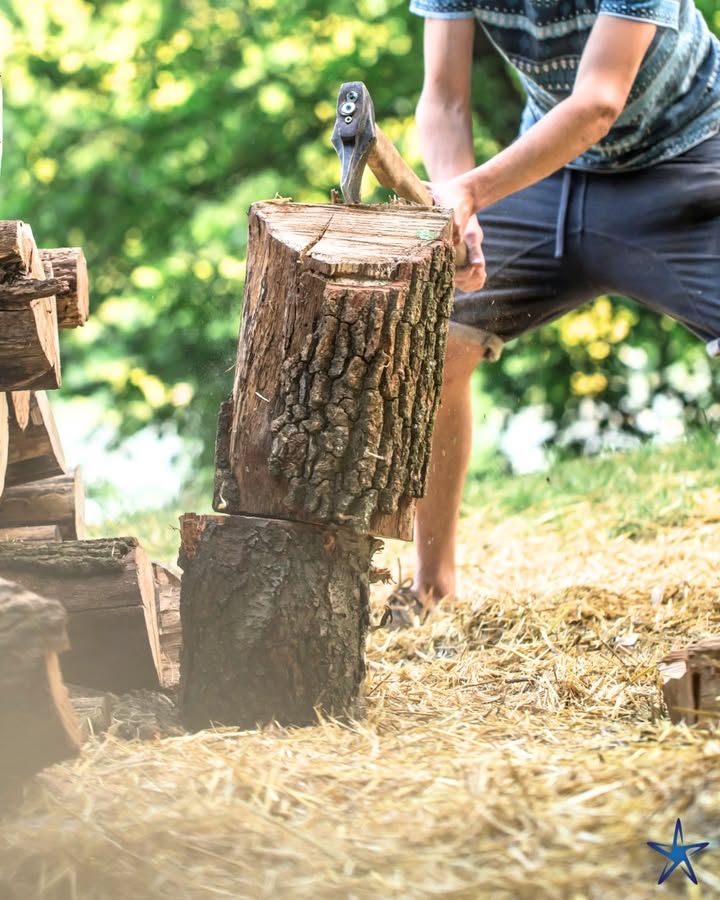 silverstartree's tweet photo. 🪵 From Log to Firewood 🌲
Hard work, steady hands, and a timeless task. Splitting wood takes effort, skill, and respect for the material.

👉 https://t.co/wexIcoHXc8

#Firewood #WoodSplitting #ArboristLife #SilverStarTree #HardWorkPaysOff #OutdoorWork https://t.co/h8U2neGzCQ