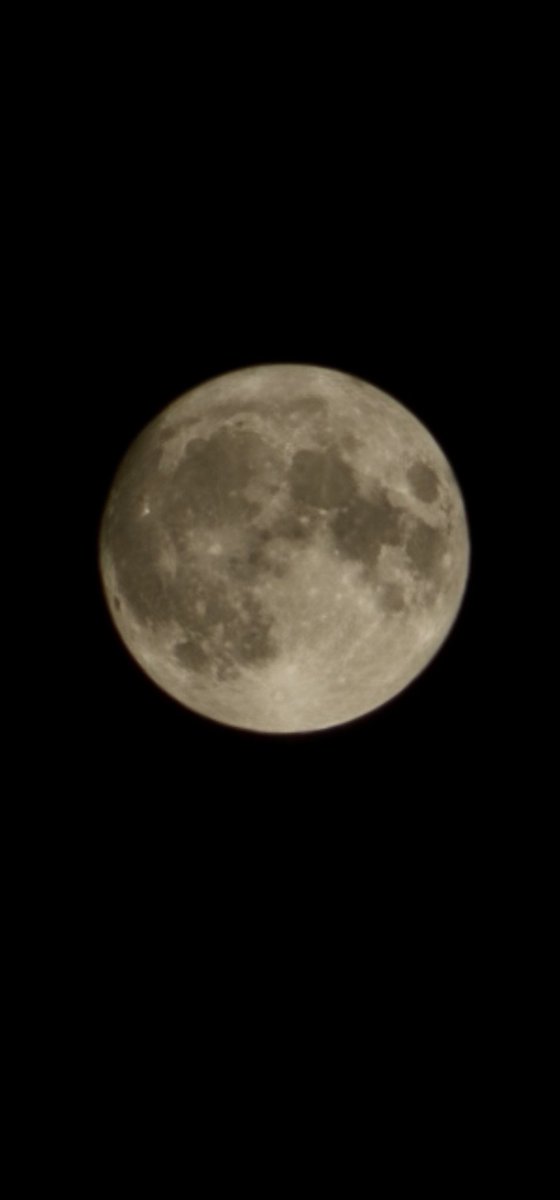 __profesora__'s tweet photo. Look up! #bluemoon #istanbul 🩵 https://t.co/P1gogyAOL9
