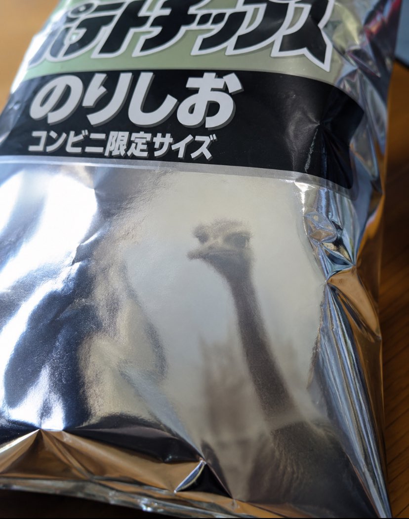 ダチョウ tweet media
