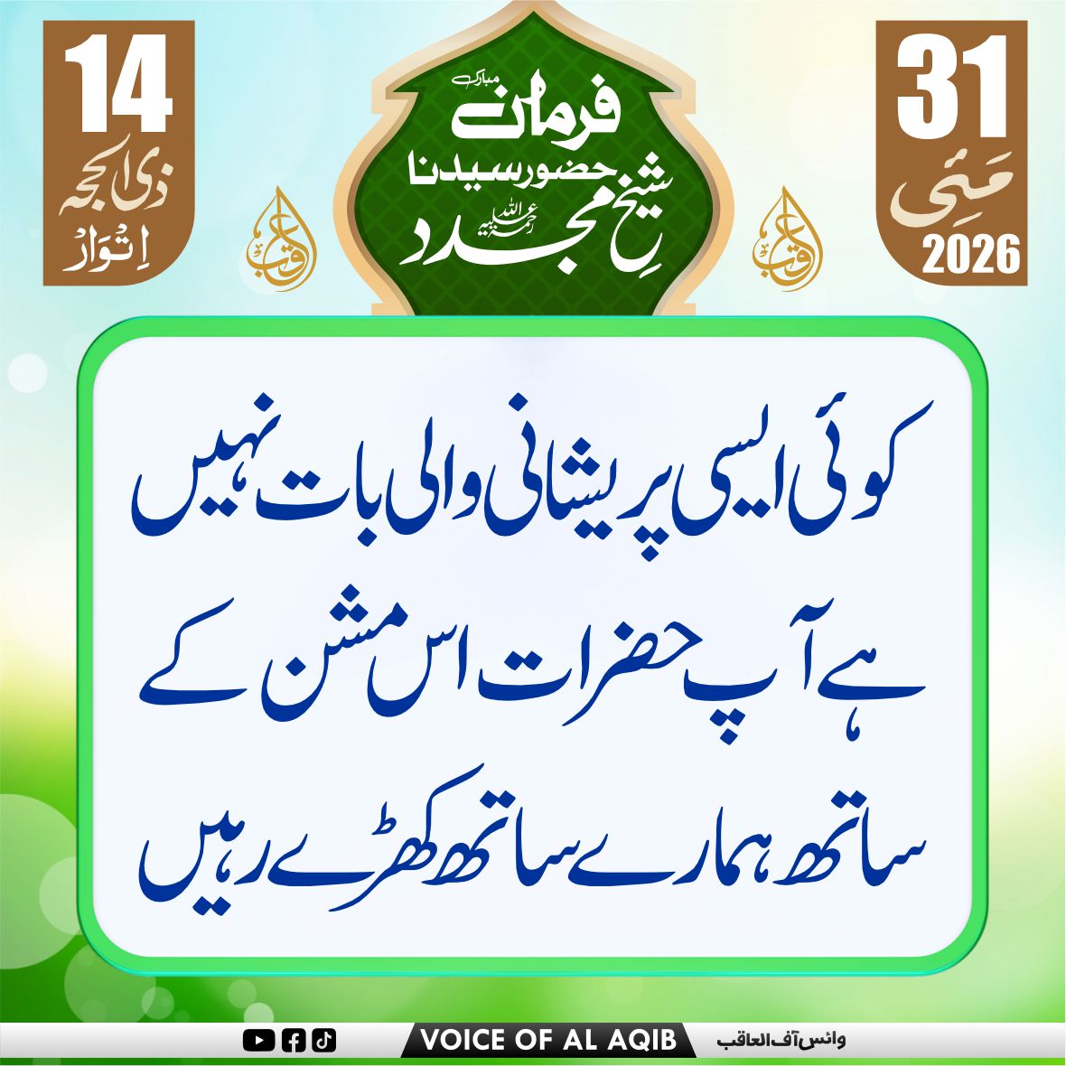 VOICE OF AL-AQIB tweet media