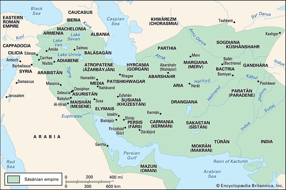 . tweet media