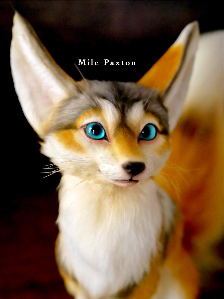 Mile Paxton on X: 