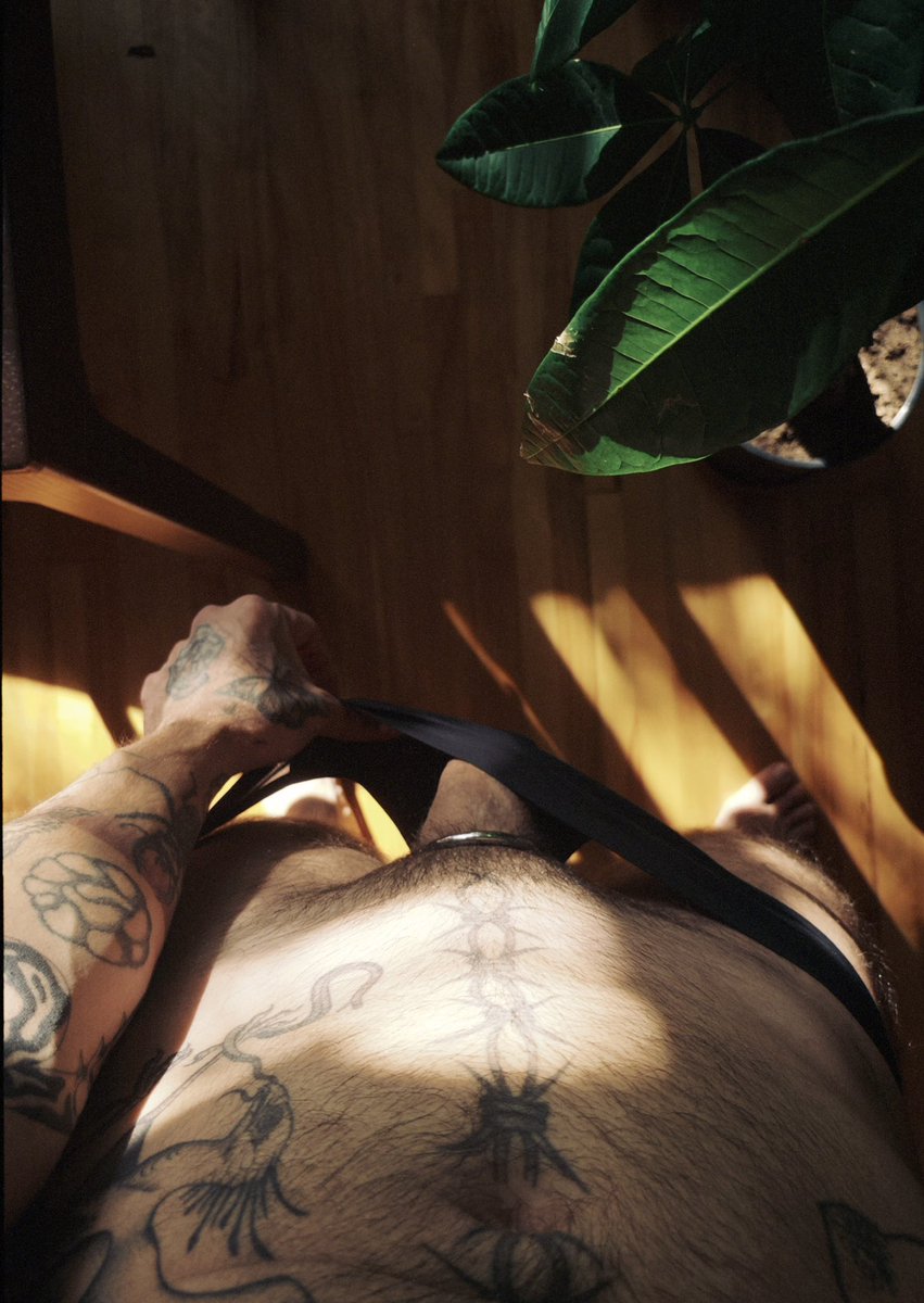 tattpotato's tweet photo. The light was cute in my living room so I decided to take a few pictures 😏💋 https://t.co/87gVI1CNuV