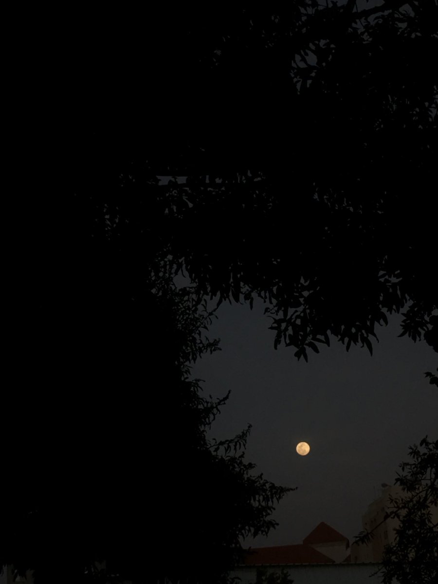 ilmays4's tweet photo. 🌕
2026                                     2020 https://t.co/HedAolH7gi