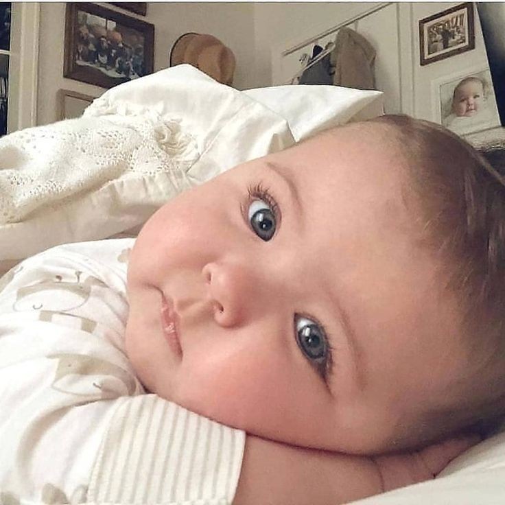 Babiez tweet media