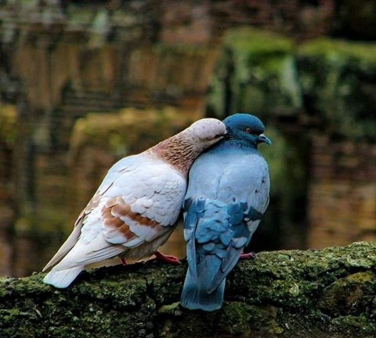 ✧Տeʍ𝘢𝘢ҍ✿Fatima ♡ tweet media