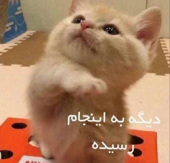 Rasul🎒 tweet media