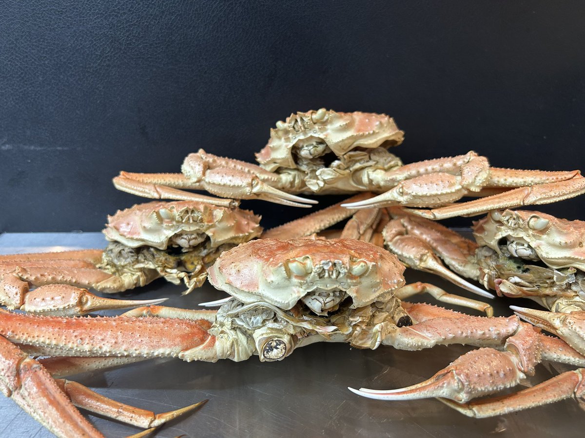 noodle_yui's tweet photo. 5/31(日) 限定特別営業
一部通常メニューはございません。

ランチ　11:00~15:30
ディナー17:30~21:00

『プレミアム純煮干』 70杯
『飛魚鮮魚と飛魚煮干のあご合わせ』　70杯
『濃純かにぼ』　150杯

連食可能です。ハーフも用意しております

渾身の3杯でお待ちしてます🐟 https://t.co/HpfJBHbRbJ