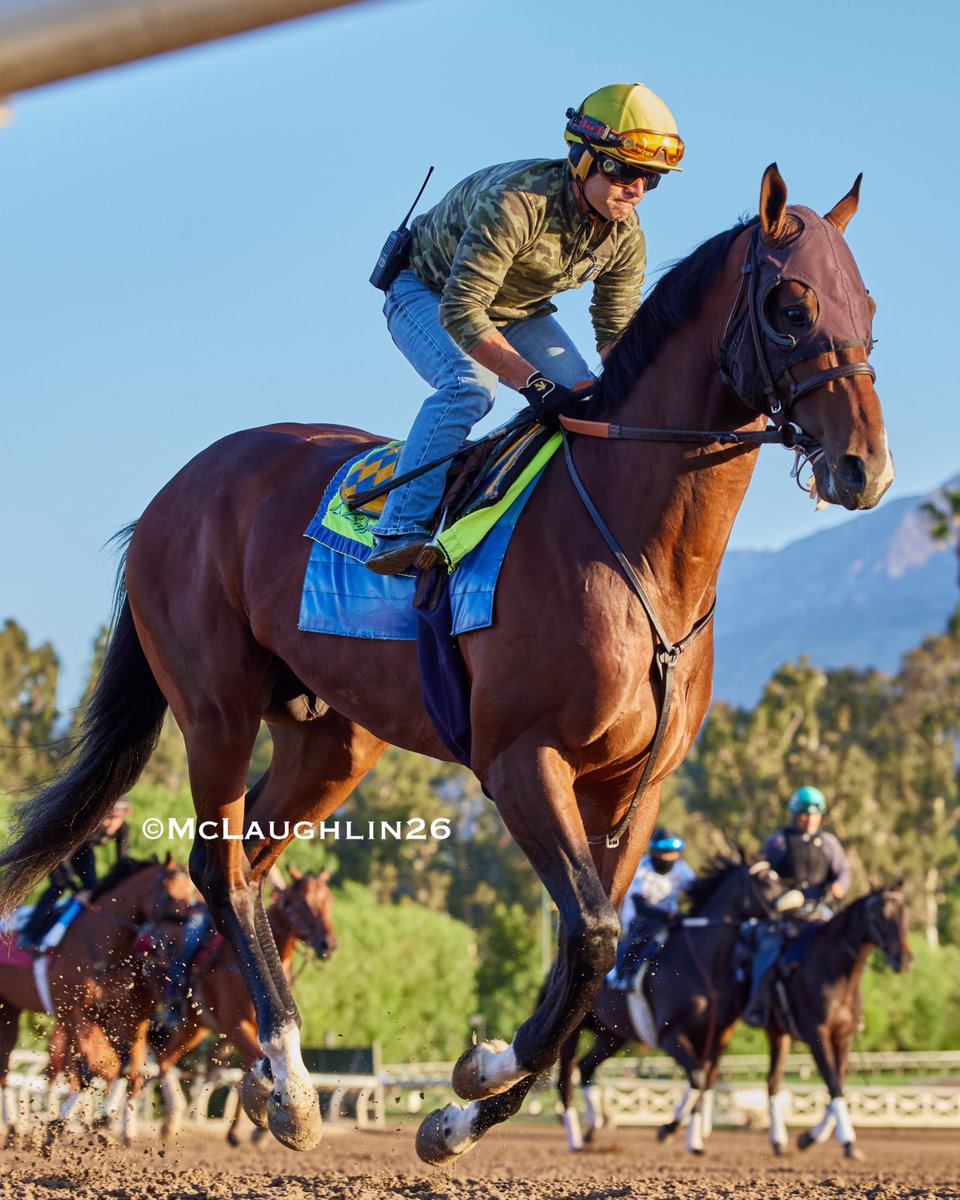 kimo16's tweet photo. Nice looking 5F in 59.40 for Mizumi (Justify out of Sweet Opportunity) under Juan Hernandez outside of Newton (Munnings out of Secret Jewel) with Juan Ochoa up for HoF trainer Bob Baffert this morning @santaanitapark @StarlightRacing @BaomaCorp @JJHernandezS19 https://t.co/jvNo0AaC2L