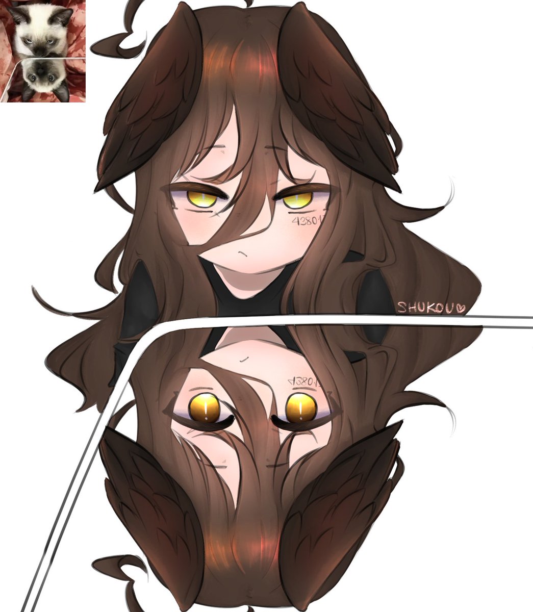 Shukou🌙 | Cms under rework tweet media