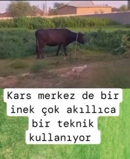 moni tweet media