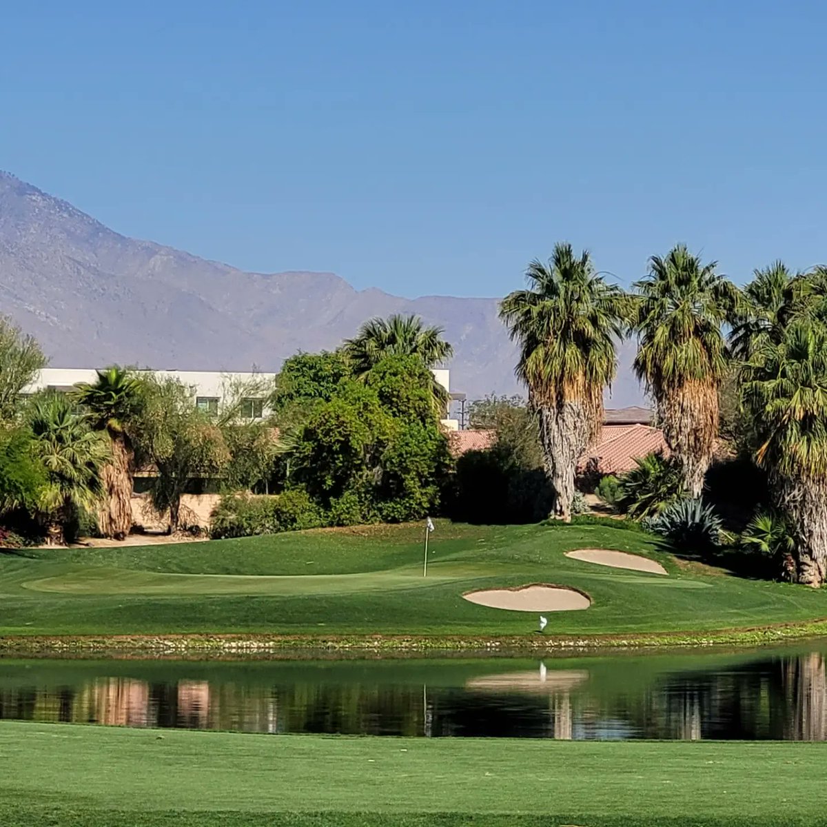 CKusp's tweet photo. @Sandeman52 Have to play a round of golf to get warmed up for the party! 🍻 https://t.co/2Gn8ggEXzy