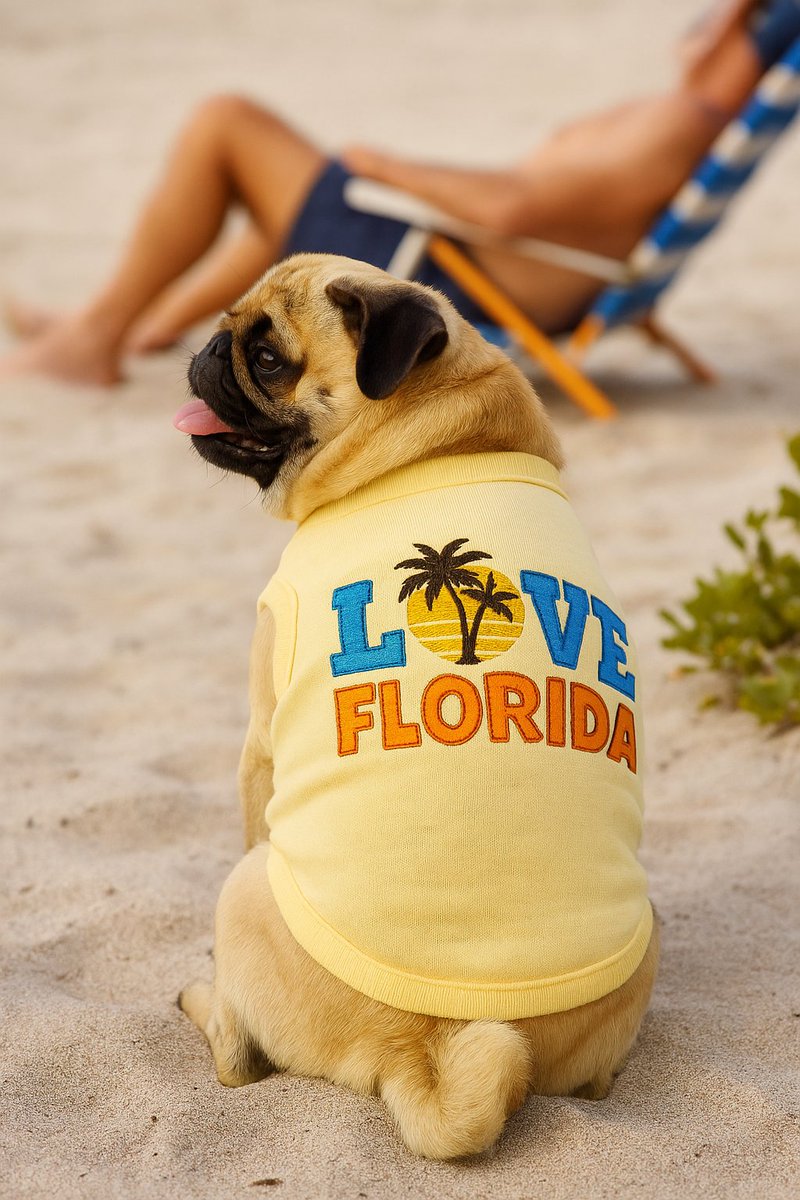 ThisIsHTAS's tweet photo. Brighten walks with our lightweight yellow pet shirt in size L—relaxed fit, breathable fabric to keep pups cool on warm days. Easy to slip on and secure for quick mornings, park trips, beach days, or casual photos. Comfort meets city style. https://t.co/46caNOK4iF https://t.co/D2F2ucXh60