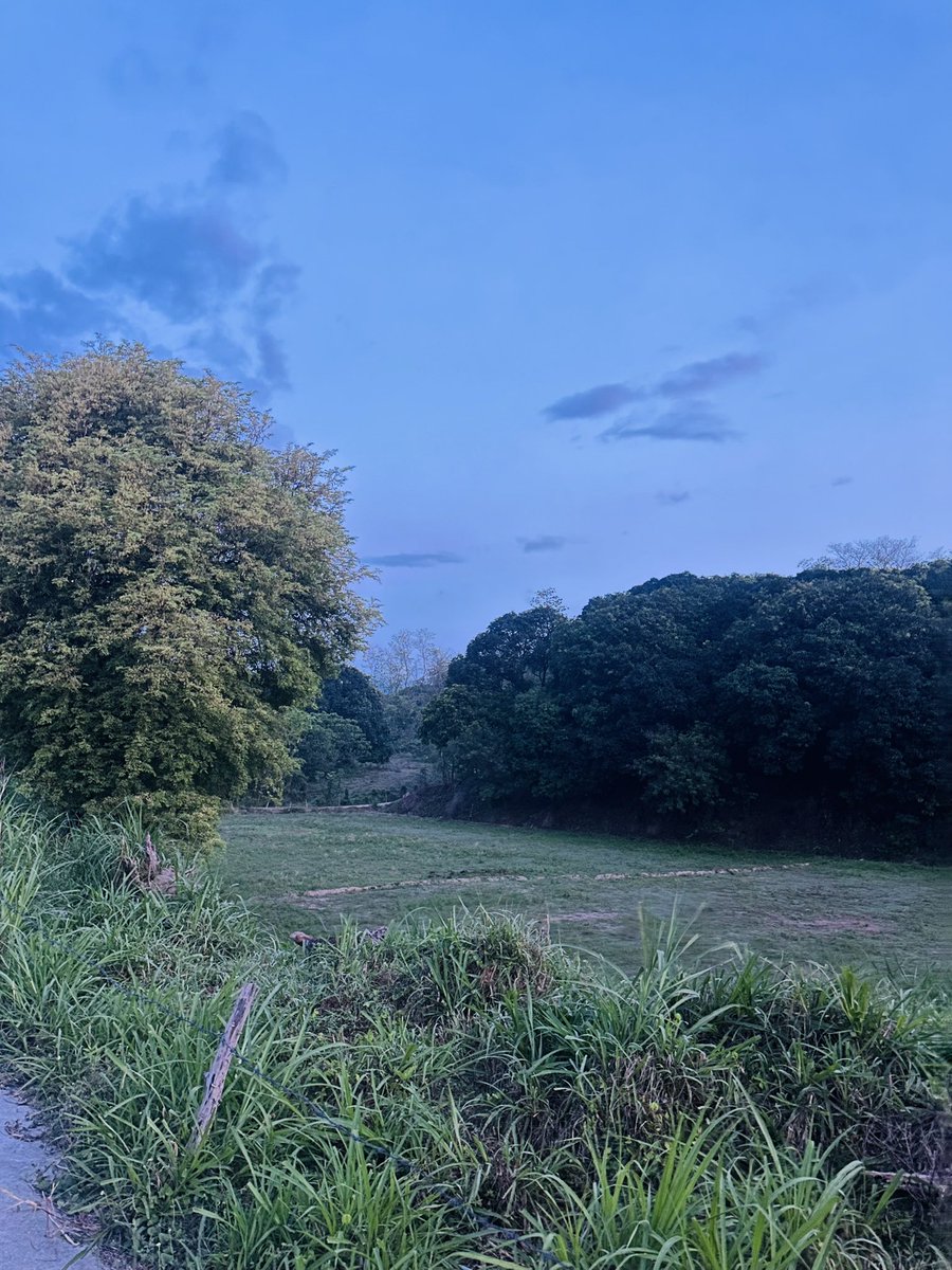 TheRealChannel5's tweet photo. Morning Walk and Jog
Babo Pangulo to Jalung Porac Pampanga
#alterpampanga https://t.co/Kfp4ny98SP