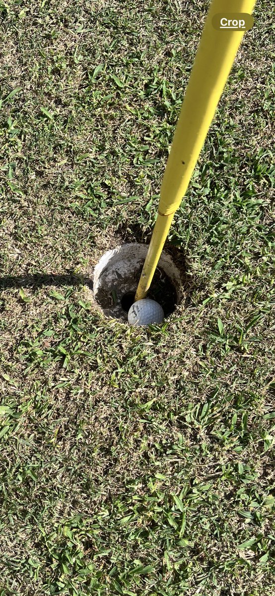 Slider2me's tweet photo. Saturday afternoon round, kept it in play, had a moment of greatness, fun was had by all 🌴⛳️ https://t.co/eRdduqVVHp