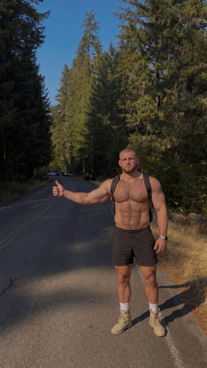 Last Animal 🦍 tweet media