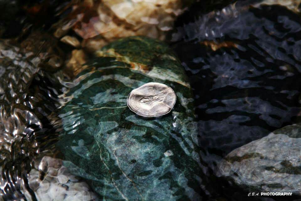 iam_ginghs's tweet photo. quietly rippling
in the silent sunlit glow
a silver coin gleams

from beneath silvery waves—
eyes alight with wondrous sight

For #NaTankaMo <coin> theme #MayTanka
#vss365 <wondrous> https://t.co/weLzOCWJ1Q