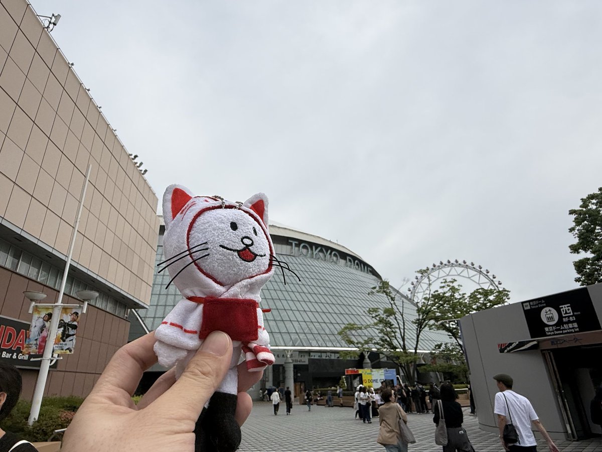 turtle__bump's tweet photo. 東京ドームだよ、ニコル！
今日はヤチヨ達のライブでもないしBUMPのライブでもないのか
ARASHIのライブ行かれる方楽しんで下さい✨✨✨✨✨ https://t.co/Dl96HMY026