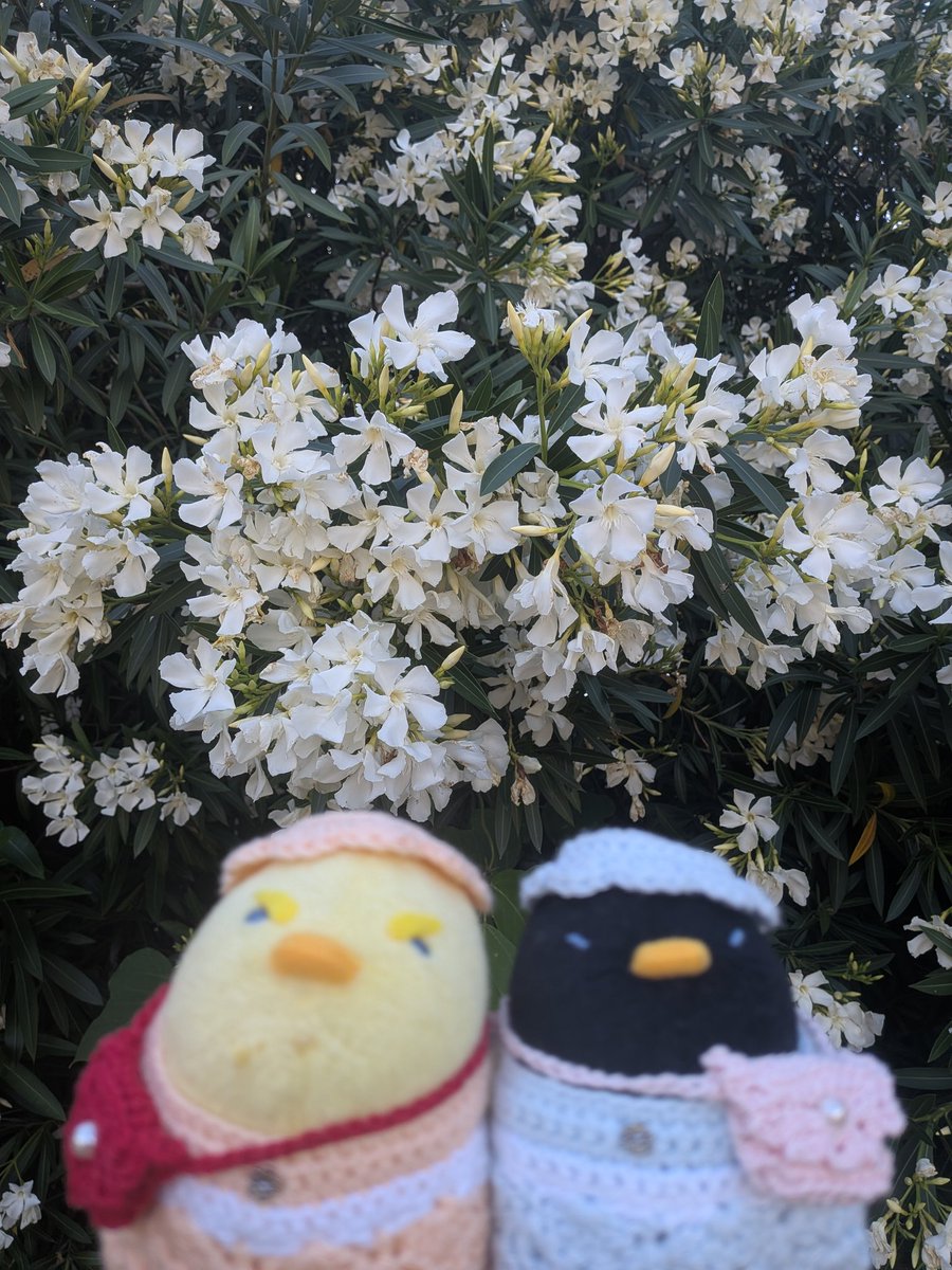 senoh_a's tweet photo. 昨日は某『鳥展』に行って、そこの広い公園のあじさい園も満喫してきました‼️
青空に咲くビニ傘や風鈴も善き♡ https://t.co/e4rDLEXpmn