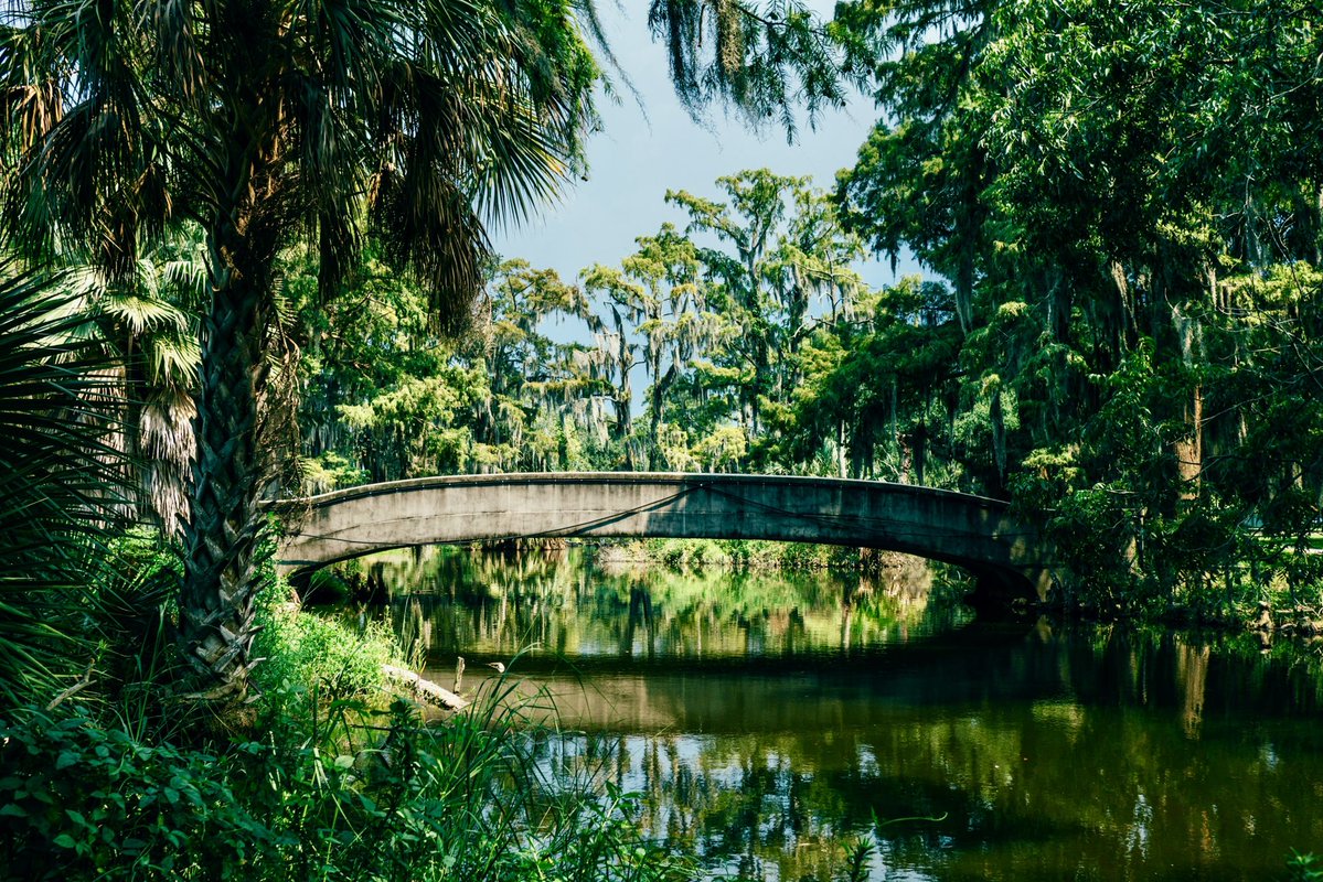 SouthernScenery's tweet photo. New Orleans, Louisiana https://t.co/snz868Nc7L