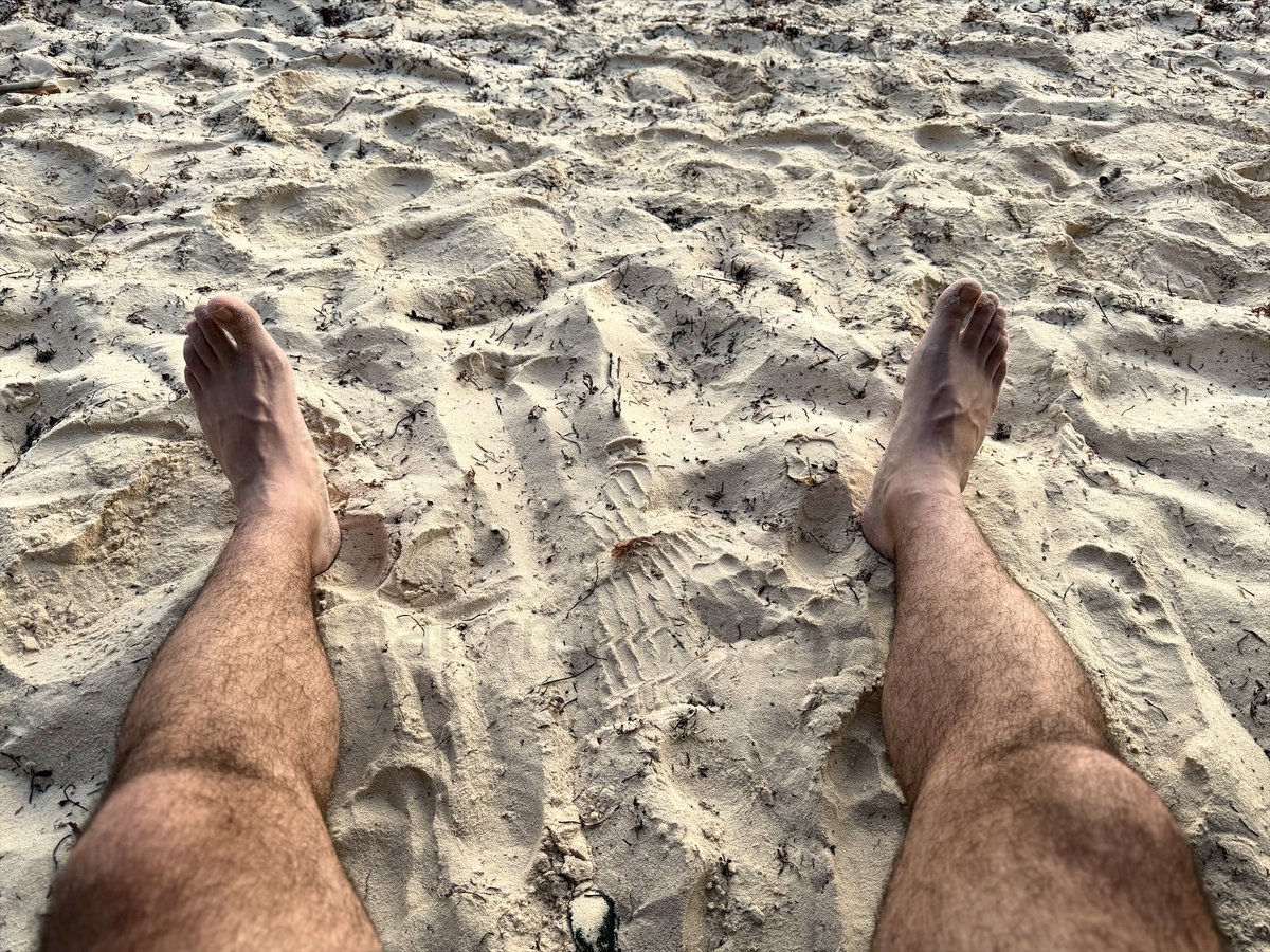 MattyMarkham12's tweet photo. Sand in between my toes 🏖️ https://t.co/1Butl0MjrP