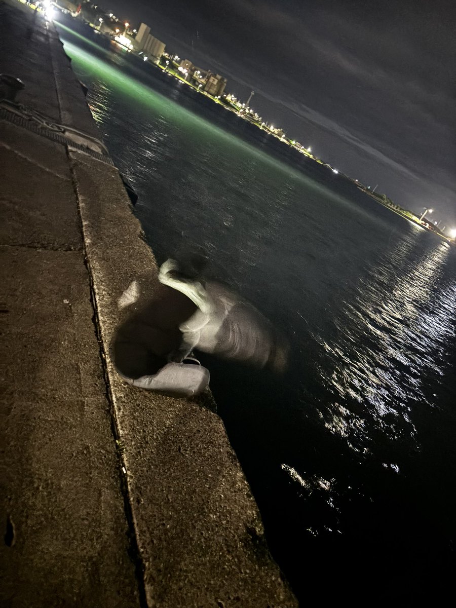 L_Jinrou_'s tweet photo. スイングは良かったんだけどな https://t.co/nXSZfndW2L