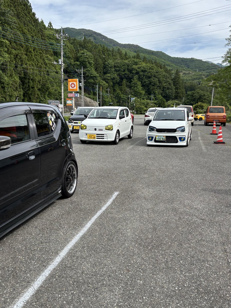 デッシー tweet media