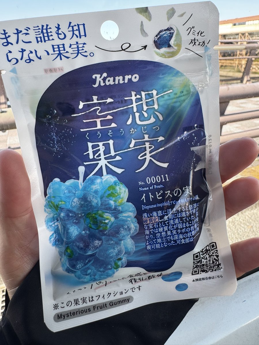 h917h's tweet photo. ハマった✨
めちゃくちゃ美味しい💕外側のハードコーティング？のガリガリ具合いが絶妙で無心で食べ続けてしまう〜🤣🤣

 #空想果実 
 #空想果実イトピスの実 
 #とまらないやつ https://t.co/qytdBtfZRu