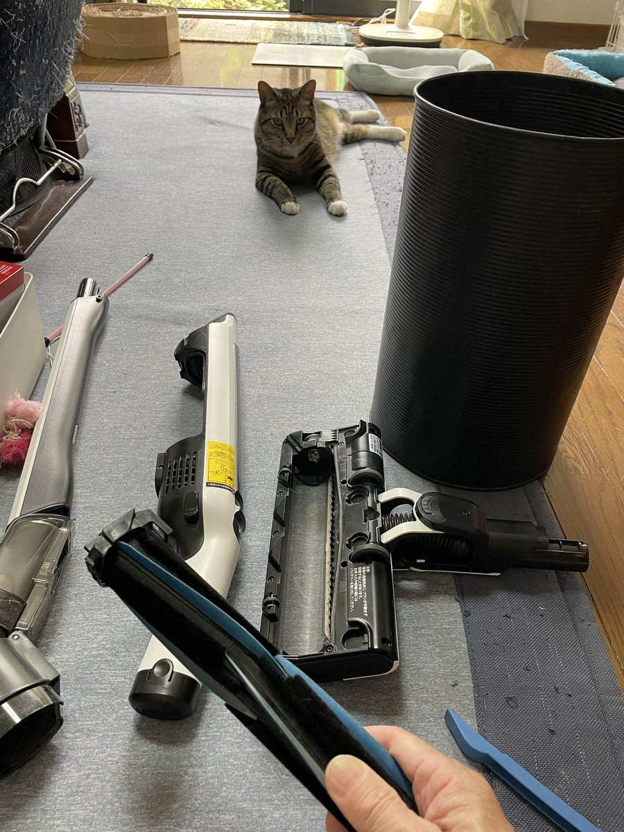 fuumazz's tweet photo. 掃除機ヘッドの細かい清掃状況を確認する監視猫の視線が熱い…

#猫 https://t.co/5RVl0xG839