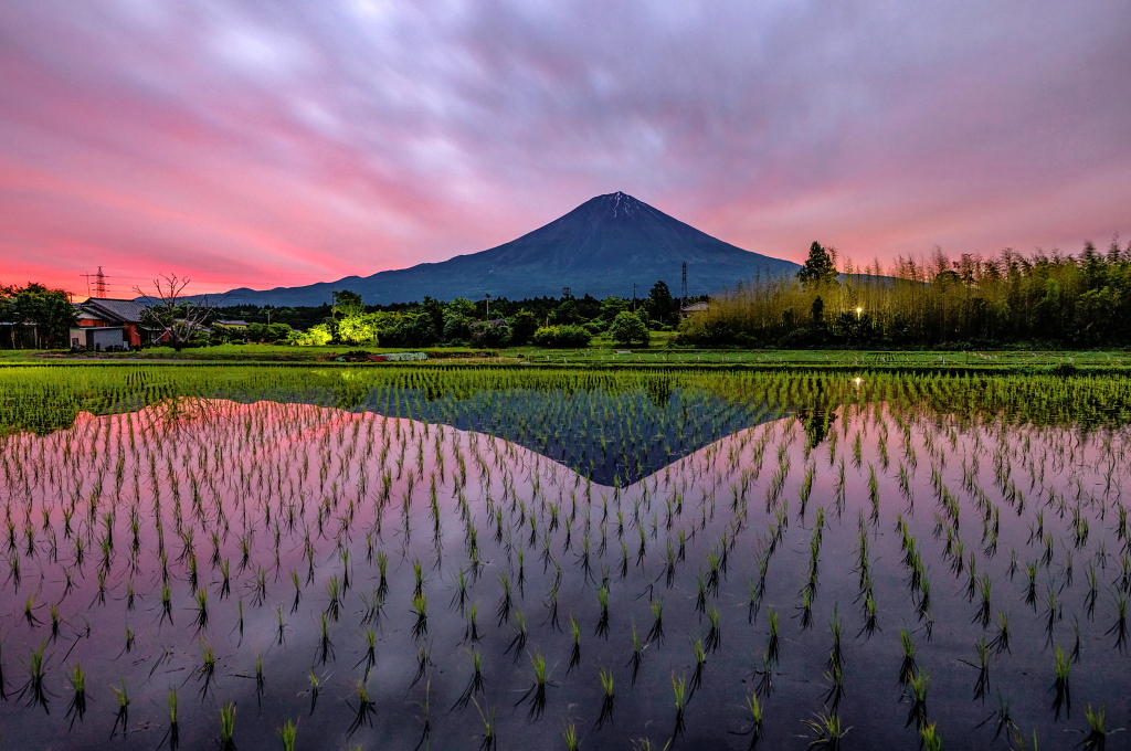 taitan21's tweet photo. おはようございます。
夜明けの水田に映る富士山と色付く雲の風景です！ https://t.co/QVtVvvTNjJ