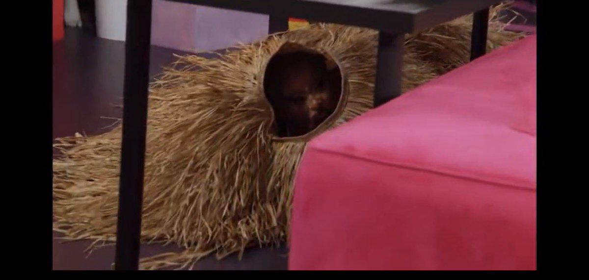 SalinaEstitties's tweet photo. Had to take a page from @TonyVlachos73 book from @survivorcbs on the latest episode of #Untucked @RuPaulsDragRace #AllStars 🤭🌾 #SpyShack https://t.co/7Xc0LQ80ly