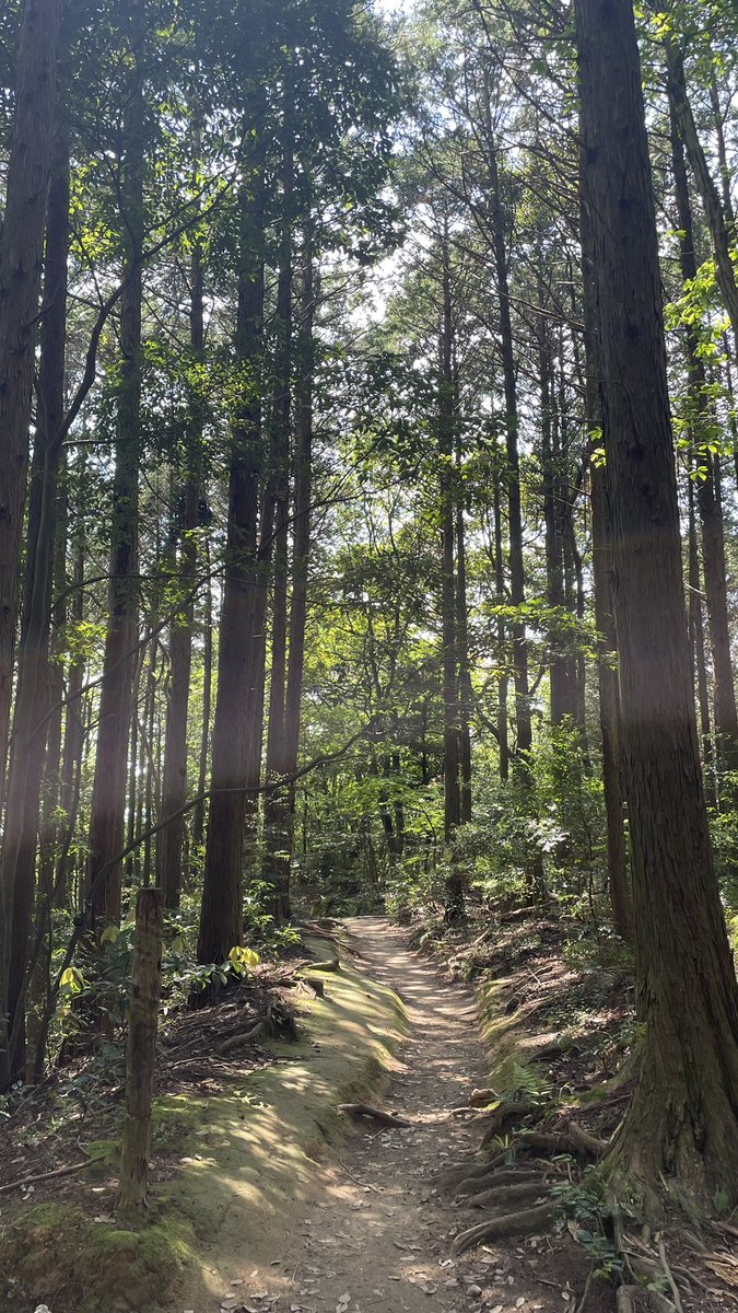 Defpoint_1's tweet photo. 休日に家族と山登りほ��気持ちいいものはなくて
緑が本当に懐かしくて😞😞😞 https://t.co/tb2oyPT2IV