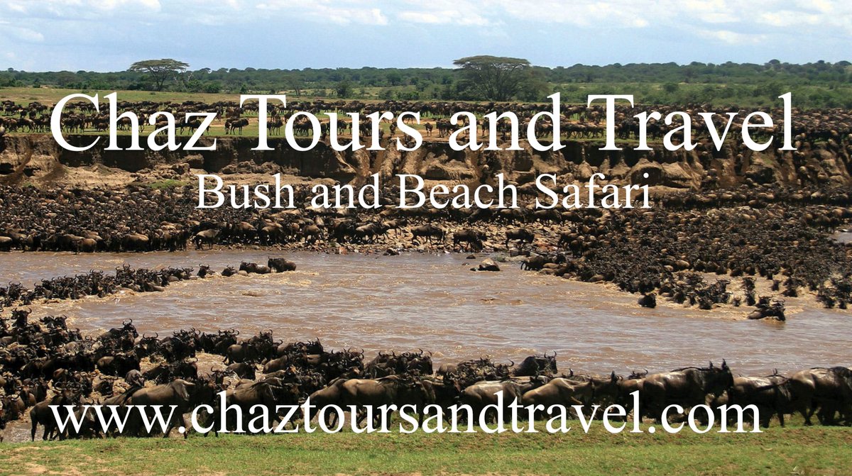 chaztours's tweet photo. 10 Days Kenya: Bush and Beach Safari
Experience the perfect balance of thrilling wildlife encounters and relaxed tropical escape on this 10-day Kenya bush and beach safari. Begin in the wild heart of Kenya’s famous game parks, where you will enjoy unforgettable game drives, https://t.co/HMRUhY43X7