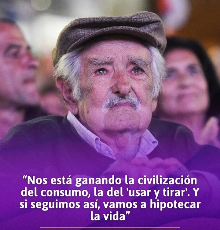 Carobá tweet media